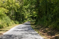 Big White Oak Tract 18