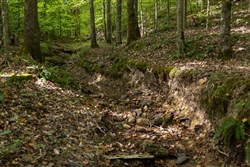 Big White Oak Tract 18