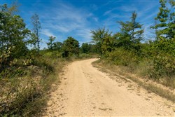 Big White Oak Tract 18
