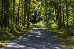 Big White Oak Tract 19
