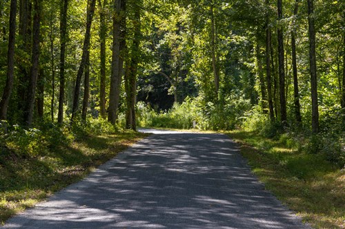 Big White Oak Tract 19