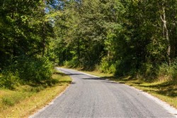 Big White Oak Tract 19