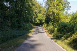 Big White Oak Tract 2