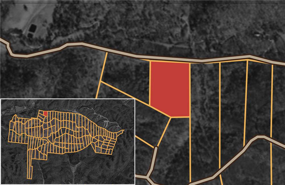 Big White Oak Tract 2 - Primary