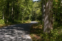 Big White Oak Tract 20