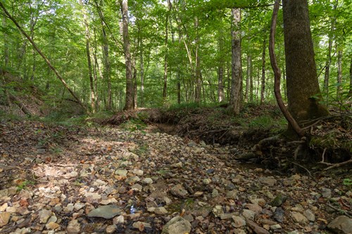 Big White Oak Tract 20