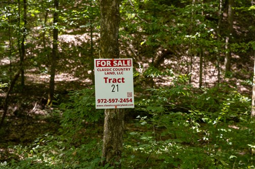 Big White Oak Tract 21
