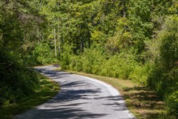 Big White Oak Tract 21