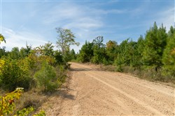 Big White Oak Tract 21