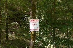 Big White Oak Tract 22