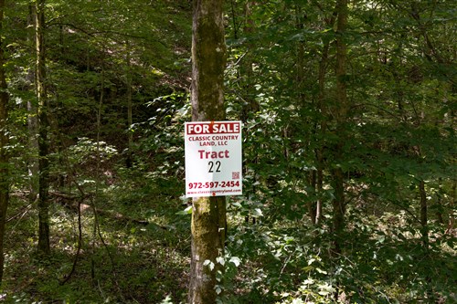 Big White Oak Tract 22