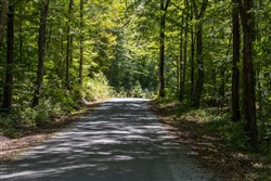 Big White Oak Tract 22