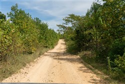 Big White Oak Tract 22