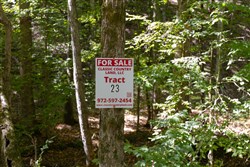 Big White Oak Tract 23