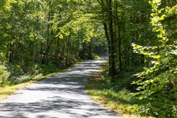 Big White Oak Tract 23