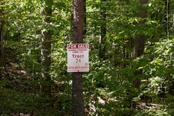 Big White Oak Tract 24