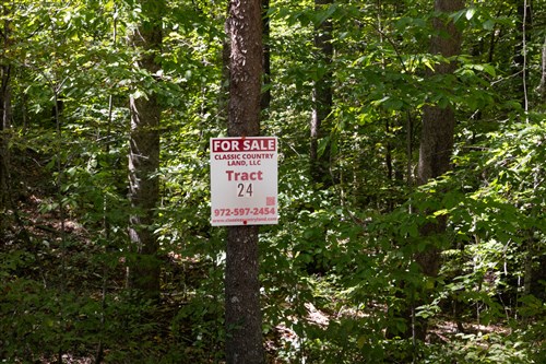 Big White Oak Tract 24