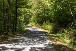 Big White Oak Tract 24