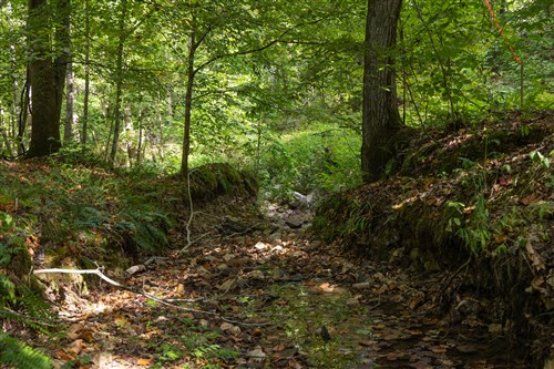 Big White Oak Tract 24