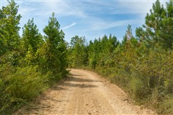 Big White Oak Tract 24