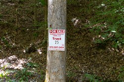 Big White Oak Tract 25