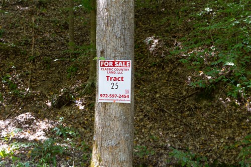 Big White Oak Tract 25