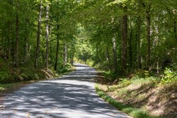 Big White Oak Tract 25