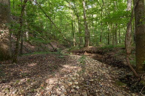 Big White Oak Tract 25