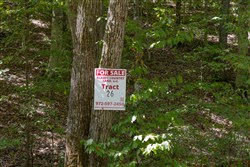 Big White Oak Tract 26