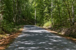 Big White Oak Tract 26