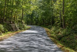 Big White Oak Tract 26