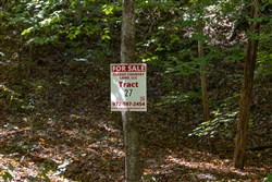 Big White Oak Tract 27