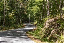 Big White Oak Tract 27