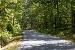 Big White Oak Tract 27