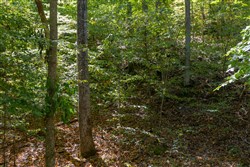Big White Oak Tract 27