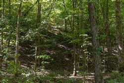Big White Oak Tract 27