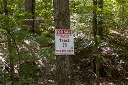 property photo for Big White Oak Tract 28, 7.85 acres for sale in Perry County, Tennessee