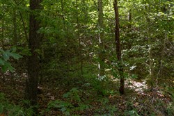 property photo for Big White Oak Tract 28, 7.85 acres for sale in Perry County, Tennessee