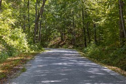 property photo for Big White Oak Tract 28, 7.85 acres for sale in Perry County, Tennessee