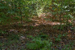 property photo for Big White Oak Tract 28, 7.85 acres for sale in Perry County, Tennessee