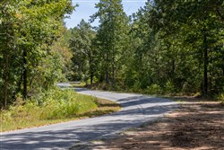 Big White Oak Tract 29