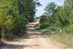 Big White Oak Tract 29