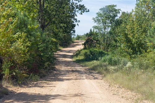 Big White Oak Tract 29