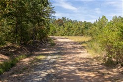 Big White Oak Tract 29