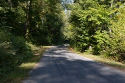 Big White Oak Tract 3