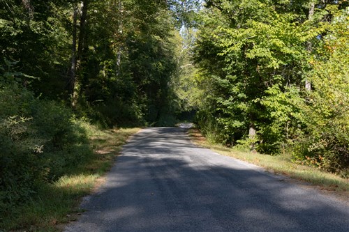 Big White Oak Tract 3