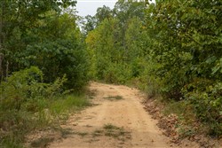 Big White Oak Tract 3