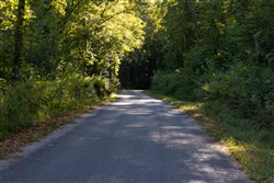 Big White Oak Tract 3