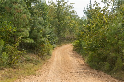 Big White Oak Tract 30