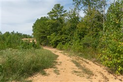 Big White Oak Tract 30